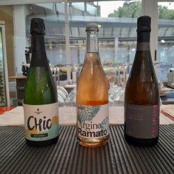 Perché scegliere il Vino Naturale