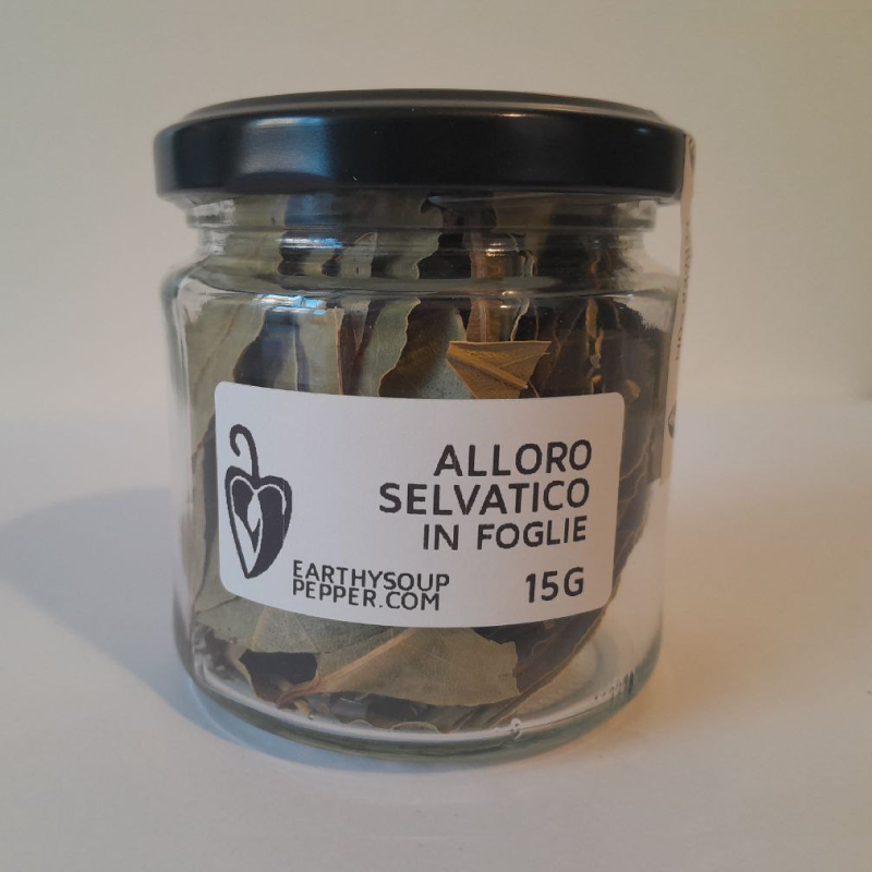 Alloro-Selvatico-in-Foglie-01